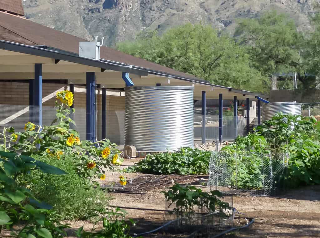 Above-Ground Water Tanks vs Cisterns: What’s the Difference? 2 southern arizona rain gutters steel culvert cisterns