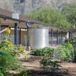 Drenaje Subterráneo vs. Tanque de Agua de Lluvia en Tucson