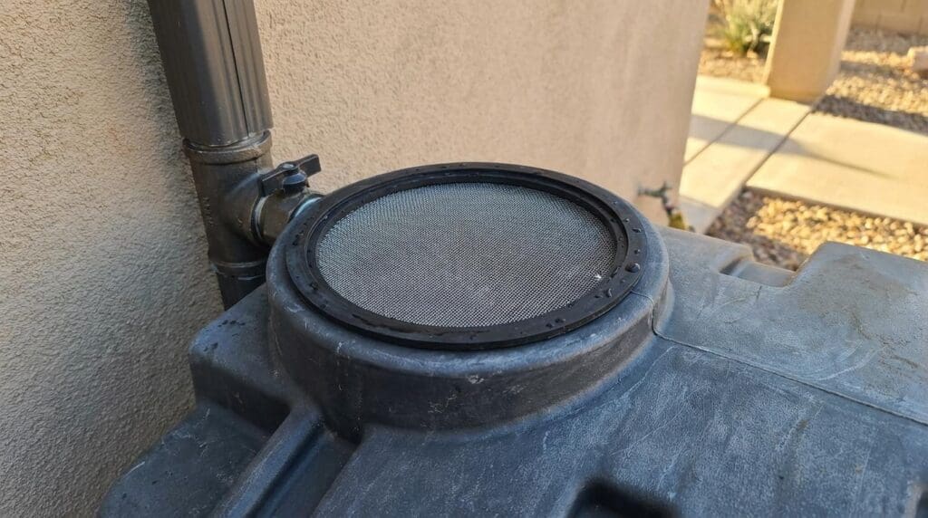 Screened rainwater collection tank connected to a gutter downspout on a Tucson AZ property